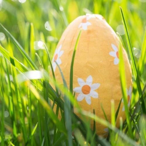 easter-egg-nestled-in-the-grass[1]