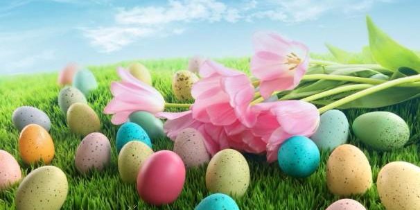 easter-eggs-with-pink-tulips-on-grass[1]