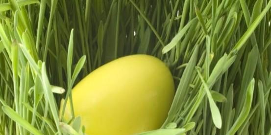 yellow-easter-egg[1]